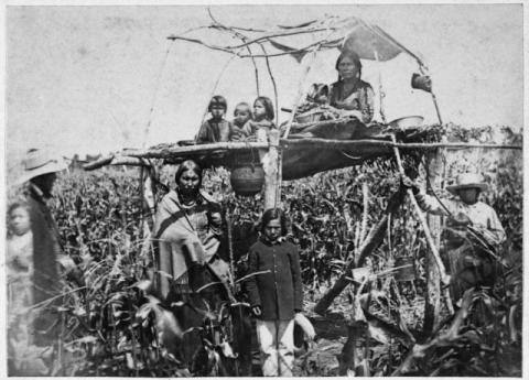 Indian women and children guarding corn from blackbirds.